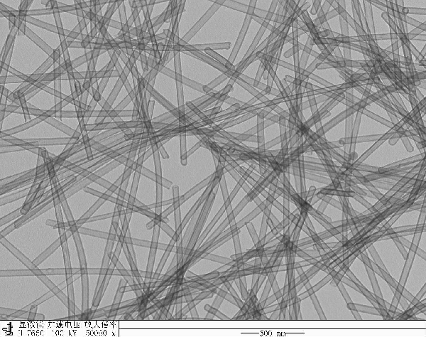 课题组模仿北极熊毛发制备的空心结构碳管。其构筑的碳管气凝胶能制成超弹性隔热材料。（图：詹慧娟）