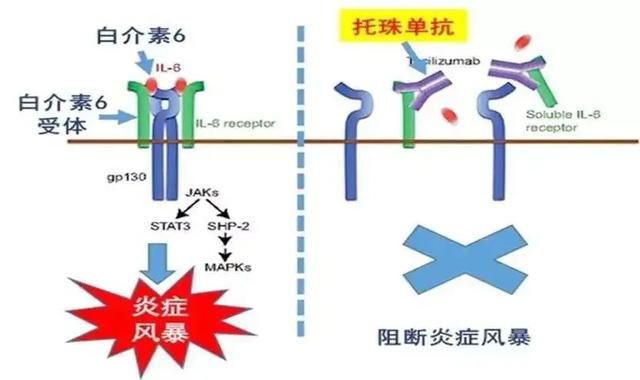 中国科学技术大学，让创新成为流淌在血液里的基因