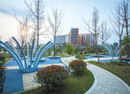 Turning dreams into reality